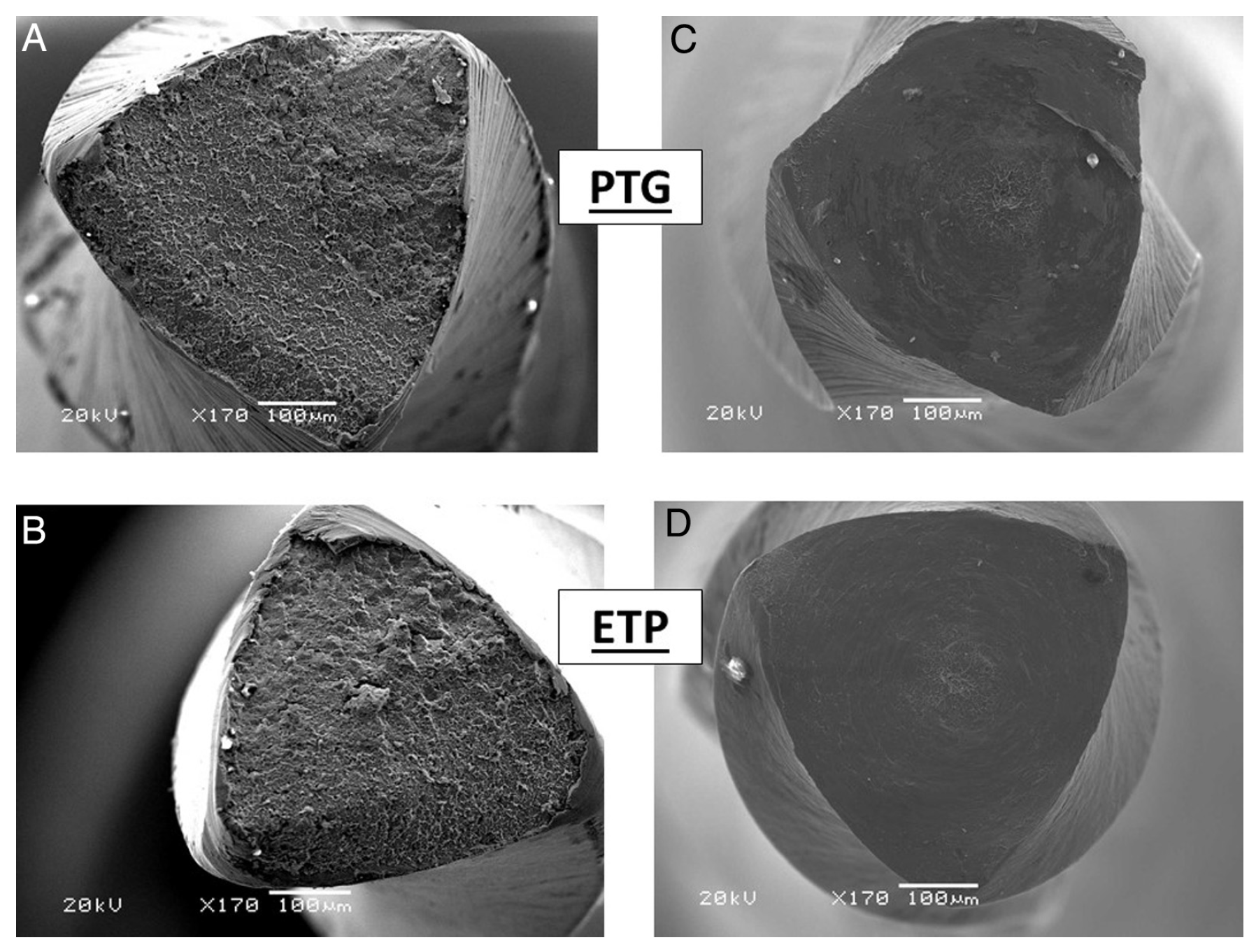 Cyclic Fatigue and Torsional Failure of EdgeTaper Platinum Endodontic Files at Simulated Body Temperature